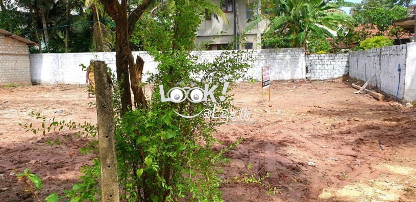 අගනා බිම් කොටසක් විකිනීමට මීගමුව - நீர்கொழும்பு சிறந்த நிலத்தொகுதி விற்பனைக்காக உள்ளது