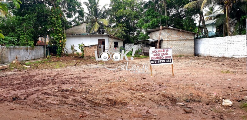 අගනා බිම් කොටසක් විකිනීමට මීගමුව - நீர்கொழும்பு சிறந்த நிலத்தொகுதி விற்பனைக்காக உள்ளது