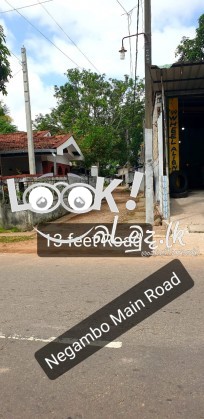 අගනා බිම් කොටසක් විකිනීමට මීගමුව - நீர்கொழும்பு சிறந்த நிலத்தொகுதி விற்பனைக்காக உள்ளது