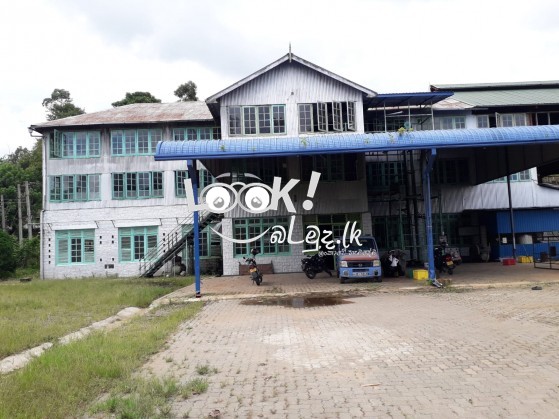 Tea factory  ekak wikinimata atha