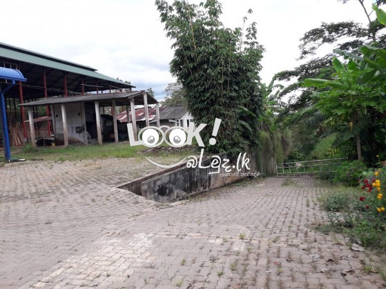 Tea factory  ekak wikinimata atha