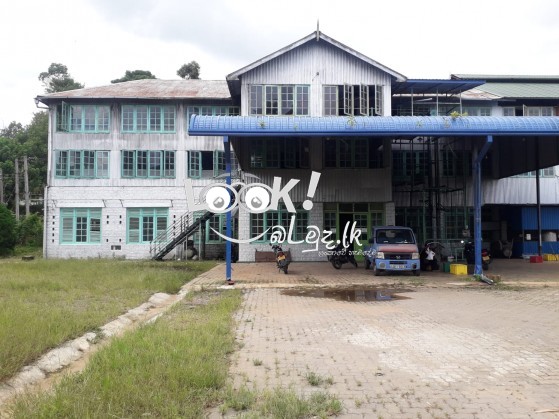 Tea factory  ekak wikinimata atha