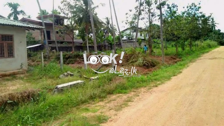 Land for sale 