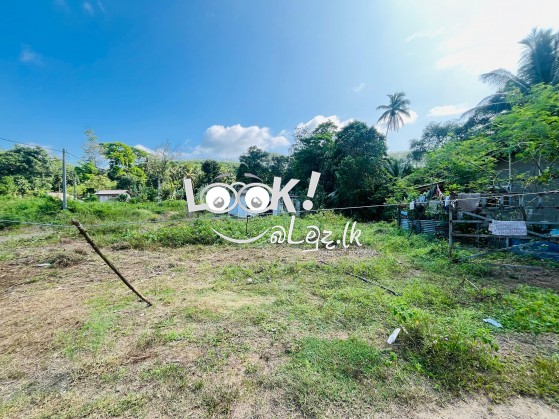 Land for sale 