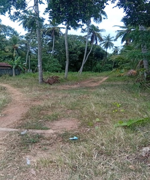 Land fo Sale Giriulla ,Kurungala