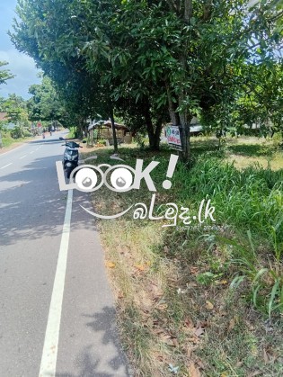 මිගමුව  කුරුණෑගල පුධාන  පාරට  මායිමව අගනා  බිමි  කොටසක විකිණීමට 