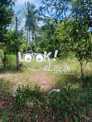 මිගමුව  කුරුණෑගල පුධාන  පාරට  මායිමව අගනා  බිමි  කොටසක විකිණීමට 