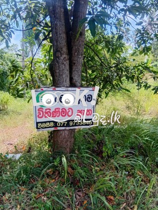 මිගමුව  කුරුණෑගල පුධාන  පාරට  මායිමව අගනා  බිමි  කොටසක විකිණීමට 