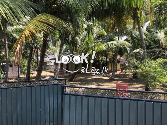 For long term lease or sale 