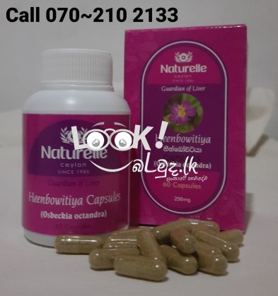 ඔබත් Fatty Liver තත්වයෙන් පීඩා විදින්නේද?