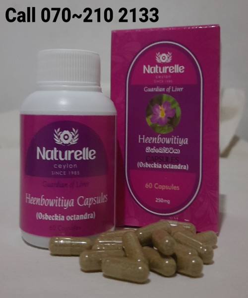 ඔබත් Fatty Liver තත්වයෙන් පීඩා විදින්නේද?