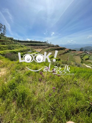 Land for sale AMBEWELA