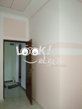 Rainbow colour paint