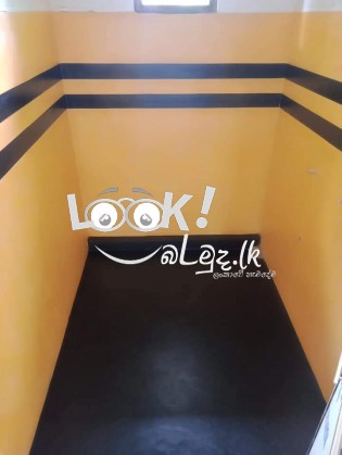 Rainbow colour paint