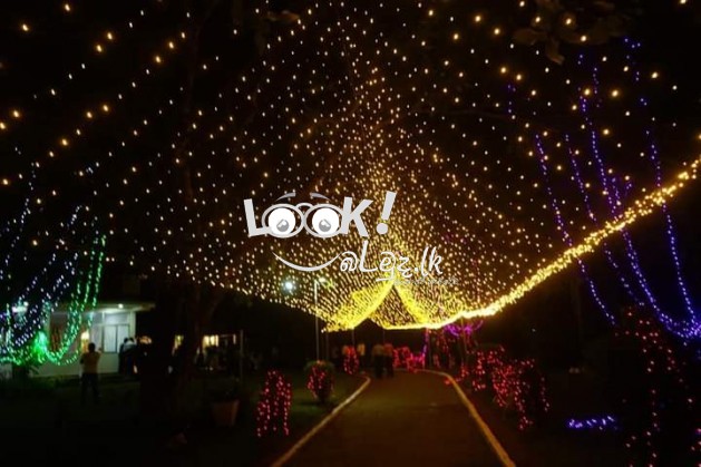 Risaro Catering Service 