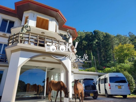 Peal inn nuwar eliya නිවාඩුවට යන්න හොදම තැන