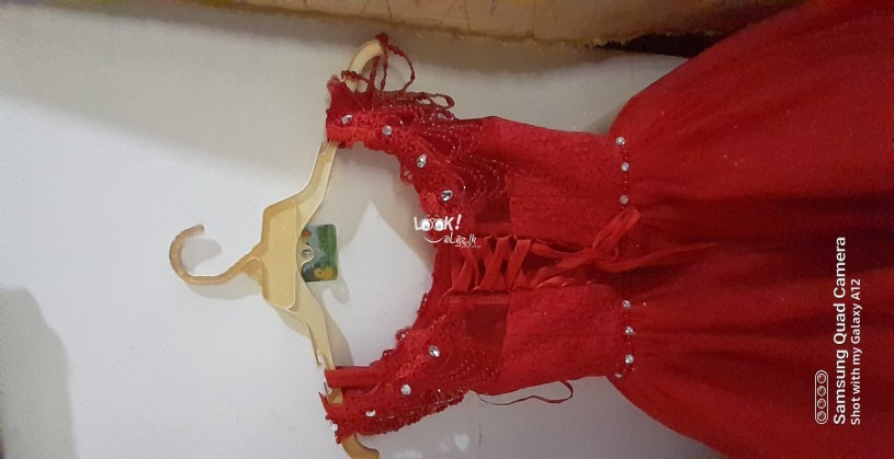 Bridle frock for sale