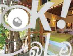 Elephant safari hotel