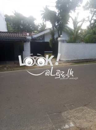 Negambo House for Rent 0312236818