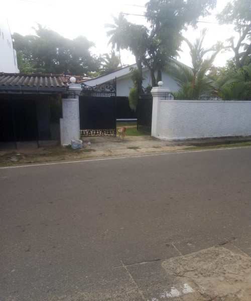 Negambo House for Rent 0312236818