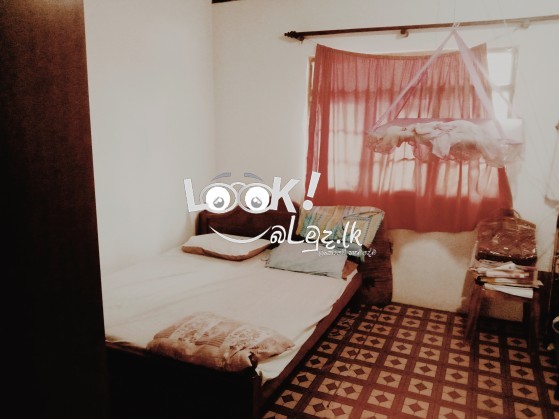 House For Sale In Wattala