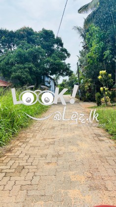 පර්චස් 20 ඉඩම | යක්විල පන්නල , (20 Perch) Yakwila Pannala