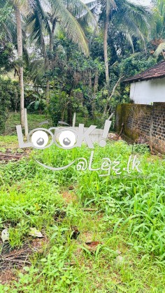 පර්චස් 20 ඉඩම | යක්විල පන්නල , (20 Perch) Yakwila Pannala