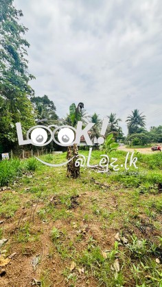 පර්චස් 20 ඉඩම | යක්විල පන්නල , (20 Perch) Yakwila Pannala