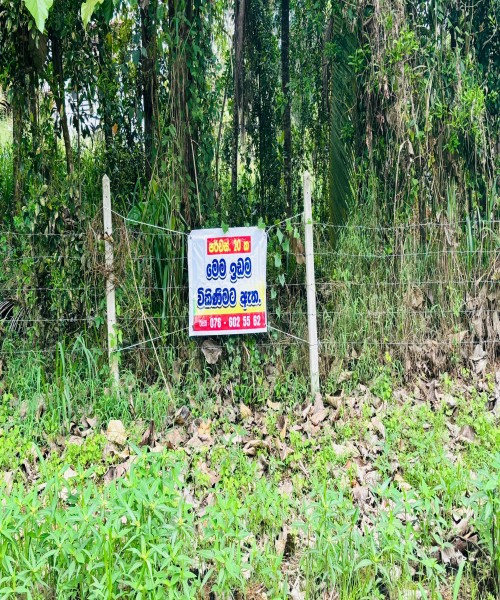 පර්චස් 20 ඉඩම | යක්විල පන්නල , (20 Perch) Yakwila Pannala