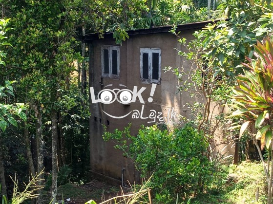 House For Sale NUWARA ELIYA