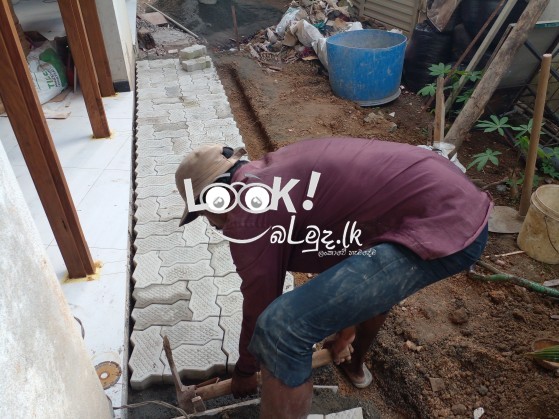 Building construction 