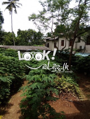 Commercial property for sale 