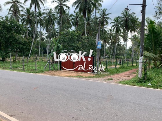 240 purchase Land with House for Sale Veyangoda Vigoda
