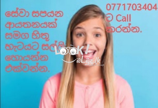 Professional business 