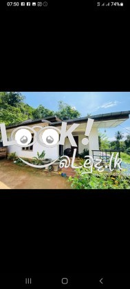 Professional business 