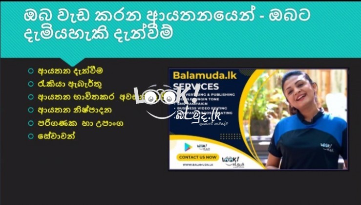 Professional business 