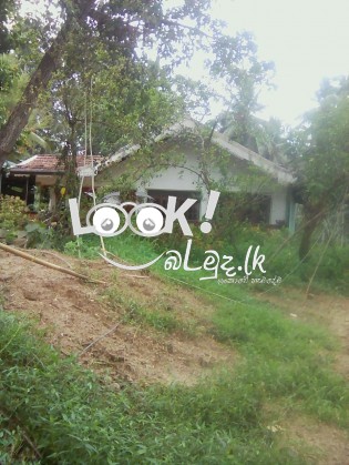 Land for sale Giriulla Kurunagala  කුරුණෑගල,ගිරිඋල්ල