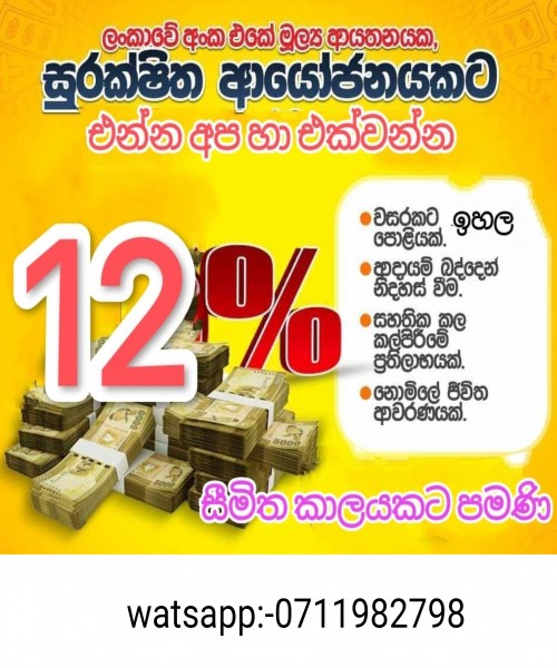 Insurance + Investment 