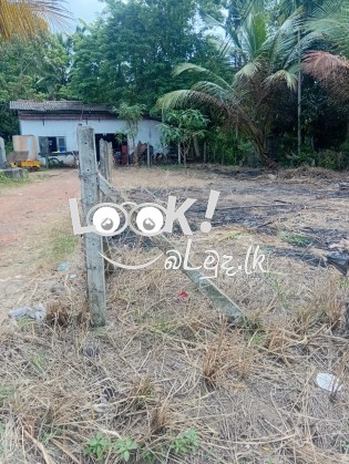 පන්නල කුලියාපිටිය ප්‍රධාන පාරට මුහුණ ලා පර්චස්  10ක  අගනා  බිමි කොටසක් විකිනීමට