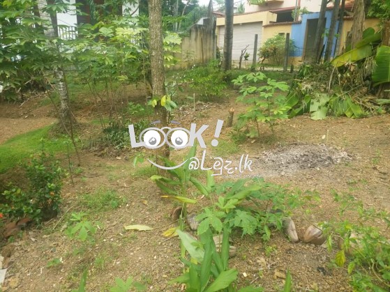 Land For Sale Kottawa Mattegoda 