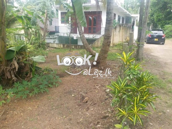 Land For Sale Kottawa Mattegoda 
