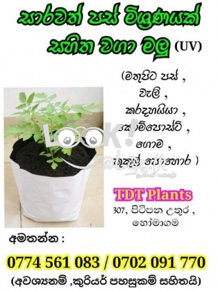 සාරවත්  පස් මිශ්‍රණයක් සහිත වගා මලු පිටිපන හෝමාගම 