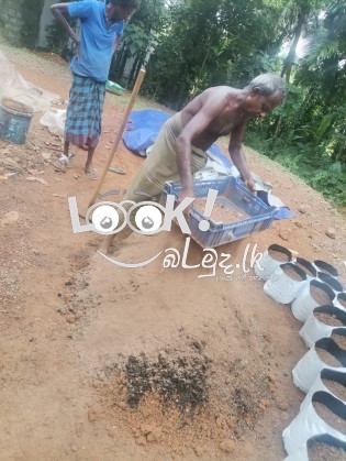 සාරවත්  පස් මිශ්‍රණයක් සහිත වගා මලු පිටිපන හෝමාගම 