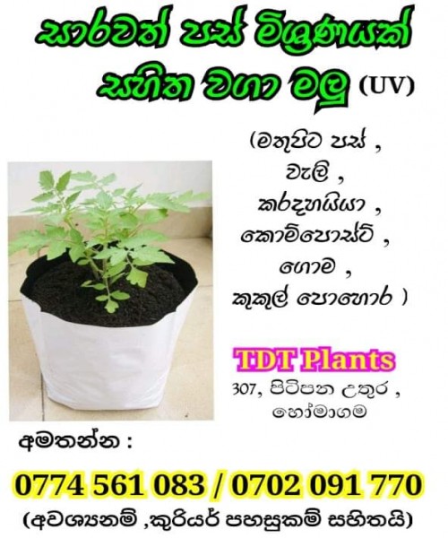 සාරවත්  පස් මිශ්‍රණයක් සහිත වගා මලු පිටිපන හෝමාගම 