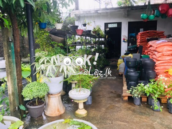 Fertilizer & Plant Nursery Kaduwela.