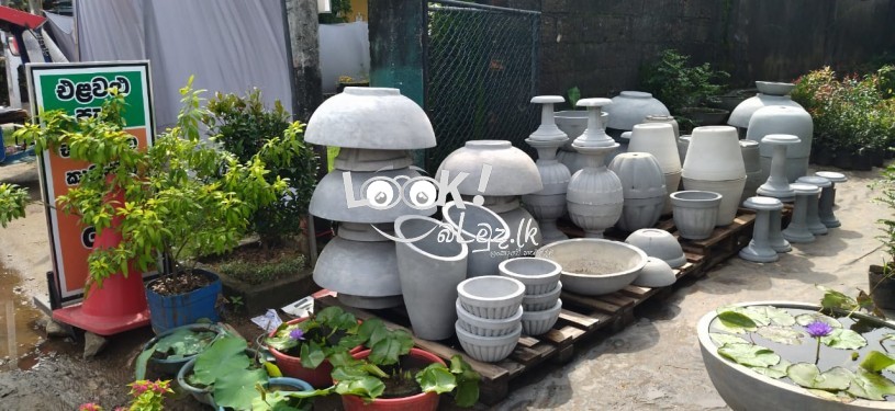 Fertilizer & Plant Nursery Kaduwela.