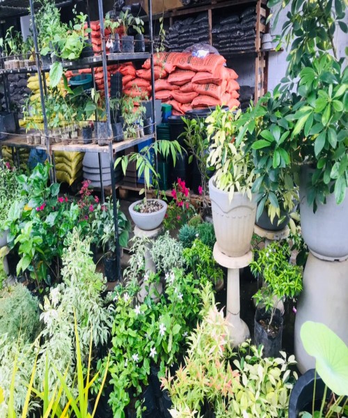 Fertilizer & Plant Nursery Kaduwela.
