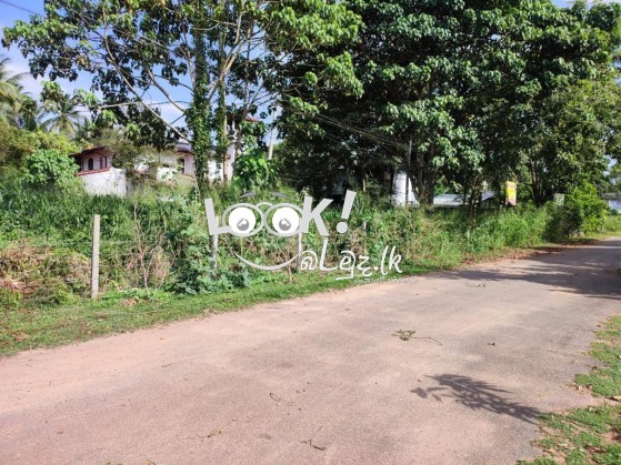 Land for sale veyangoda 