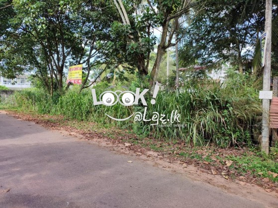 Land for sale veyangoda 