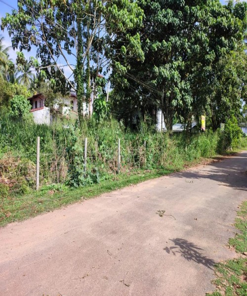 Land for sale veyangoda 